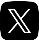 x icon